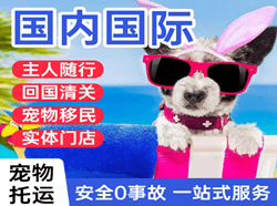 兴东机场托运国际宠物托运 【国
